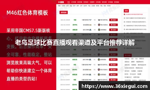 老鸟足球比赛直播观看渠道及平台推荐详解