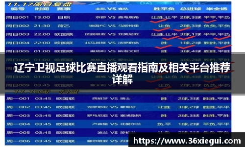 辽宁卫视足球比赛直播观看指南及相关平台推荐详解