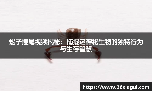 蝎子摆尾视频揭秘：捕捉这神秘生物的独特行为与生存智慧