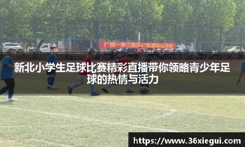 新北小学生足球比赛精彩直播带你领略青少年足球的热情与活力